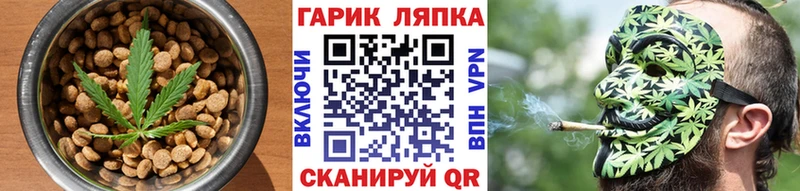 блэк спрут зеркало  Лобня  Canna-Cookies конопля 