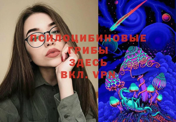 гидра Сосновоборск