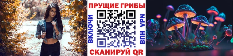 Галлюциногенные грибы Psilocybine cubensis  hydra ТОР  Лобня 